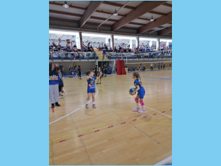 Volley.S3.Saronno.30.04.2023 (38).jpg